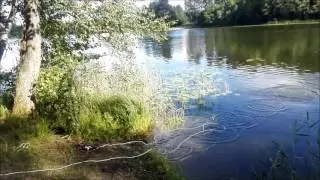 Эконом покатушки на воде)