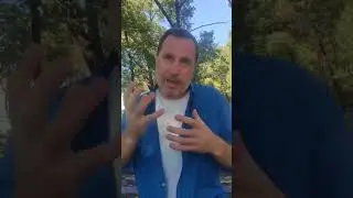 Розкриваю таємницю авторського меду.