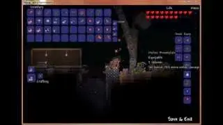 Terraria epic mana using weapons