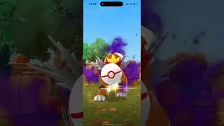 Pokémon Go - Level 5 Raid - Entei (shadow)