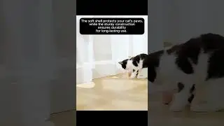 Keeping Cats Active: The Ultimate Cat Ball Toy for Endless Playtime!