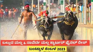 Balluda Malla & Nayerda Malla Quarter Final Race | Bantwala Kambala 2023 | Namma Kambala