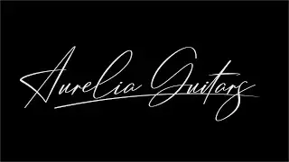 Aurelia Guitars - Carbide 3D Shapeoko XL Assembly and Test Run