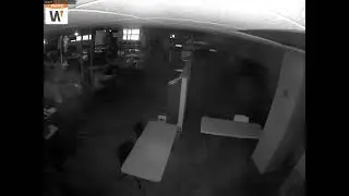 Camera 10: 11/5/2024 (12:04:07 AM Start)