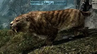 Skyrim - Sabre Cat