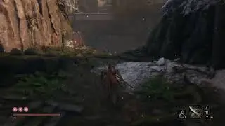 SEKIRO #14