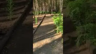 Идеальное начало работы
