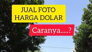 Apa Itu Shutterstock? Mulai Jual Foto Dapat Dolar 