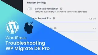 Troubleshoot WP Migrate DB Pro