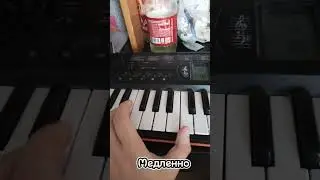Звери районы кварталы для новичков #piano #shots #рекомендации #tutorial #подпишись