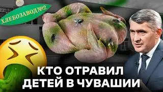 Кто отравил детей в Чувашии? Понесет ли ответственность Николаев?