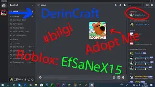 Oyun ve Discord bilgileri