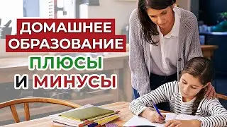 Онлайн-школа – это хорошо? 🏫 Плюсы и минусы домашнего обучения