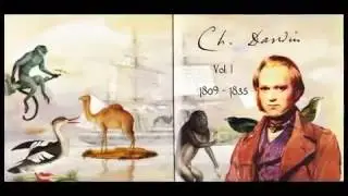 XII Alfonso - Physics and hunting (2012)