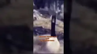 а вы верете в знаки/приметы? 😂😂
