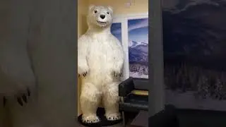 Медведь