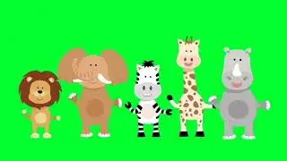 Green Screen Animal Animation video | Free download