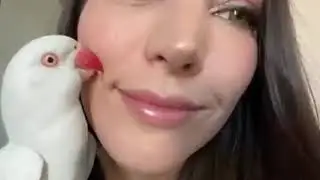 ASMR: Close Up Kisses, Whispers, Laughs, Smiles & Bird Cuddles 🕊️ | Relaxation & Tingles