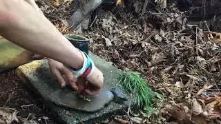 Survivalist technology: how to make paint