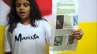 Parakeet - By Carolina