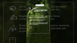 Consejos para pajarear el sábado. #GlobalBigDay