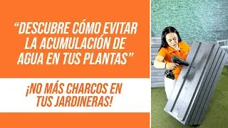 CÓMO EVITAR LA ACUMULACIÓN DE AGUA en tus plantas🌧️💡