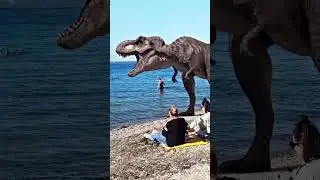 Women with a pet🤣 on the Black Sea beach