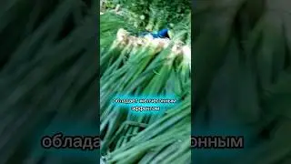 #здоровье #зож #любисебя #энергия