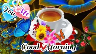 Good Morning Status Video WhatsApp Status Video Good Morning/gif
