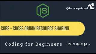 Demystifying CORS: Solving Cross-Origin Resource Sharing Errors in Node.js - Malayalam Tutorial