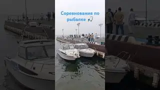 Соревнования по рыбалке 🎣 #соревнования #рыбалка #спортивнаярыбалка #деньрыбака #владивосток