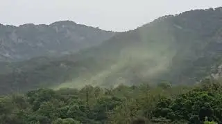 북한산 송화가루 동영상 2024.04.29 08:00 AM
