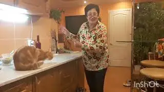 Делаю сбережения 😂 Целый мешок трусов берегу 🤣 Колготки зашиваю и пакеты вновь стираю Возврат в СССР