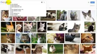 How To Find Royalty Free Images on Google