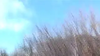 Мощная дезинфекция пчелинных ульев...