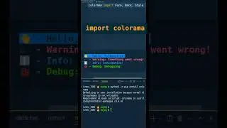 Beautiful Terminal Styling in Python!  Part - 1 #shorts #python
