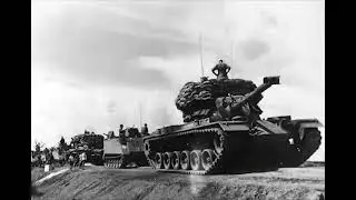 Cat has a Vietnam flashback