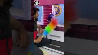 Funny Shorts 