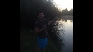 Щука на спиннинг,22 августа 2016.Pike on spinning. 22 Aug 2016