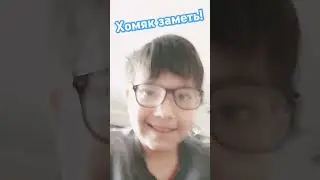 #бекон