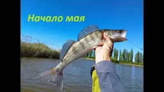 РАЗВЕДКА ПО СУДАКУ/ Начало мая