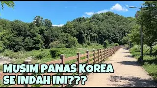 KOREA SAAT MUSIM PANAS......MAGIS BANGET!!!