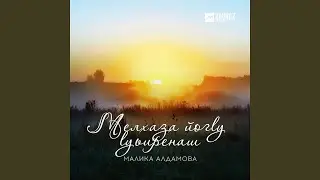 Мичахь ву