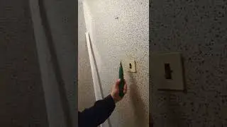 Кабельный тестер/трассоискатель ловит радио.