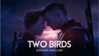 [Marvel] Two Birds || Natasha and Clint