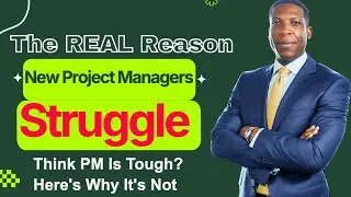 Struggling As A new project manager