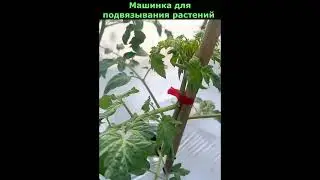 Машинка для подвязывания растений #shorts