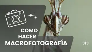 ★COMO HACER MACROFOTOGRAFÍA 3/3 // Curso de Fotografía Digital★