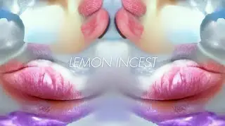 Alex Beaupain - Lemon Incest (Audio Officiel)