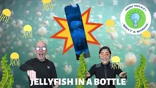 Jellyfish in a Bottle - Jellyfish Lake | Educational Video for Children